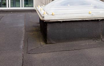 disadvantages of Austen Fen flat roofs