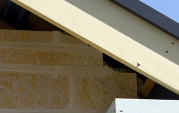 soffit repair Austen Fen